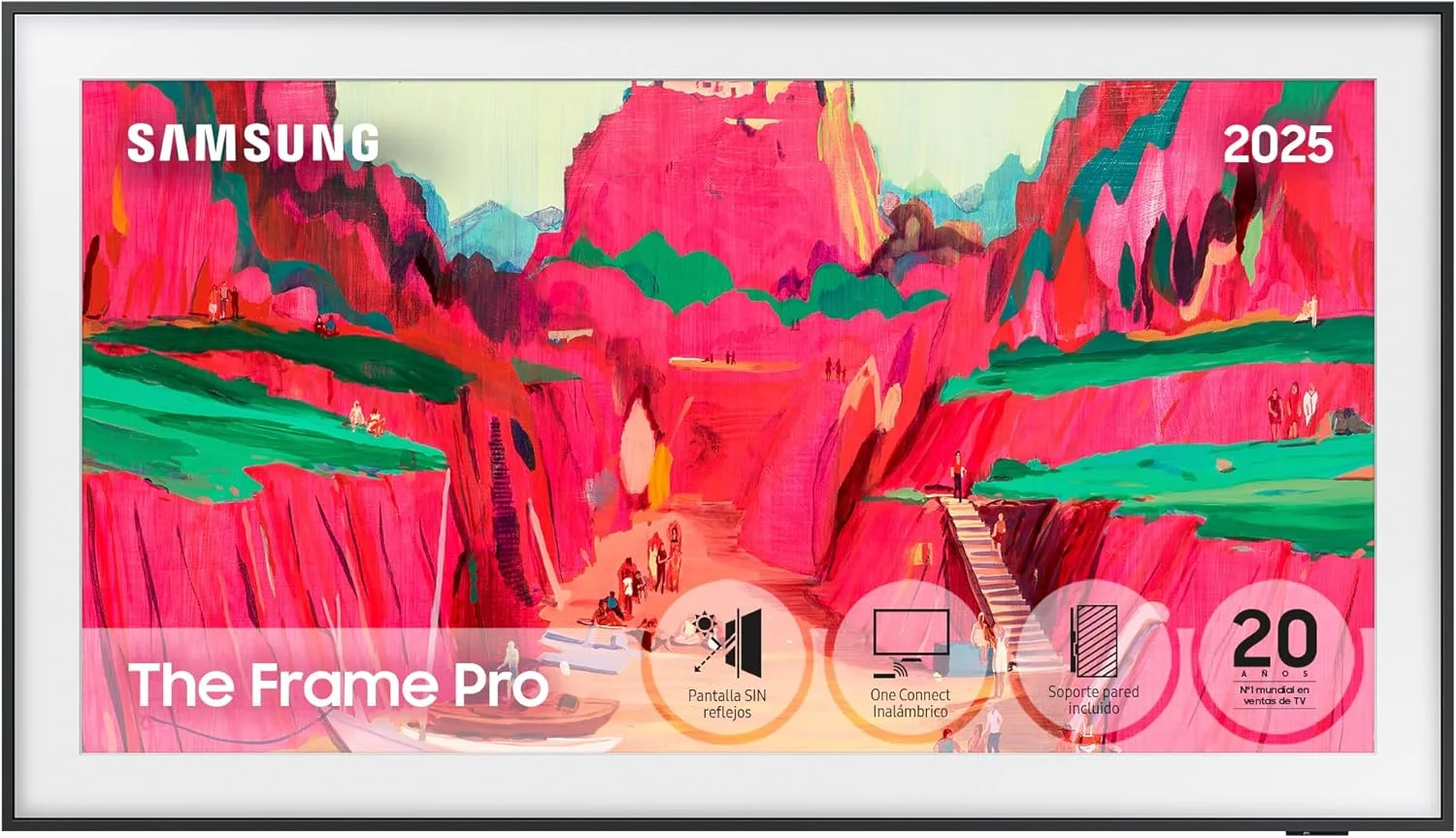 The Frame Pro
